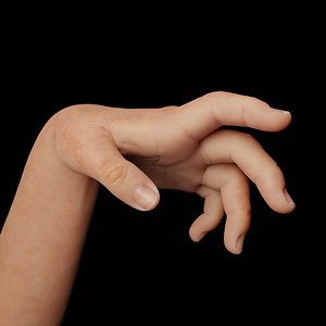Left Hand Rigged