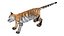 Tiger Cub Rigged for Maya