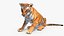 Tiger Cub Rigged for Maya
