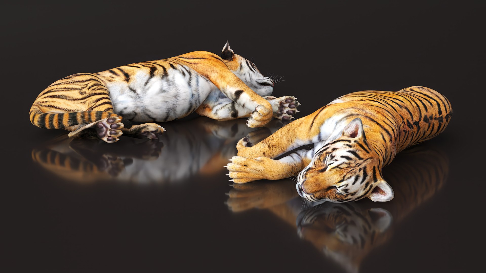 Tiger Cub Rigged for Maya 3D model https://p.turbosquid.com/ts-thumb/9Z/aSrsN0/Gw/tiger_cub_rigged_007/jpg/1742257062/1920x1080/fit_q87/ac7e5357260cb3b5fd4b86f7c3256599d7e94f76/tiger_cub_rigged_007.jpg