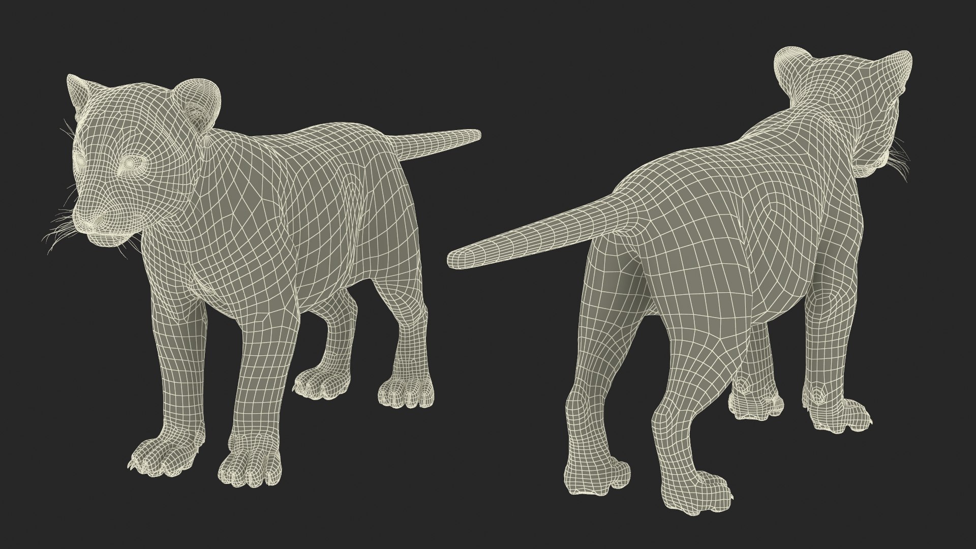 Tiger Cub Rigged for Maya 3D model https://p.turbosquid.com/ts-thumb/9Z/aSrsN0/OF/tiger_cub_rigged_023/jpg/1742257134/1920x1080/fit_q87/98a86fb0816bf0bc860bb3bb770a0eddb4f5ed8b/tiger_cub_rigged_023.jpg