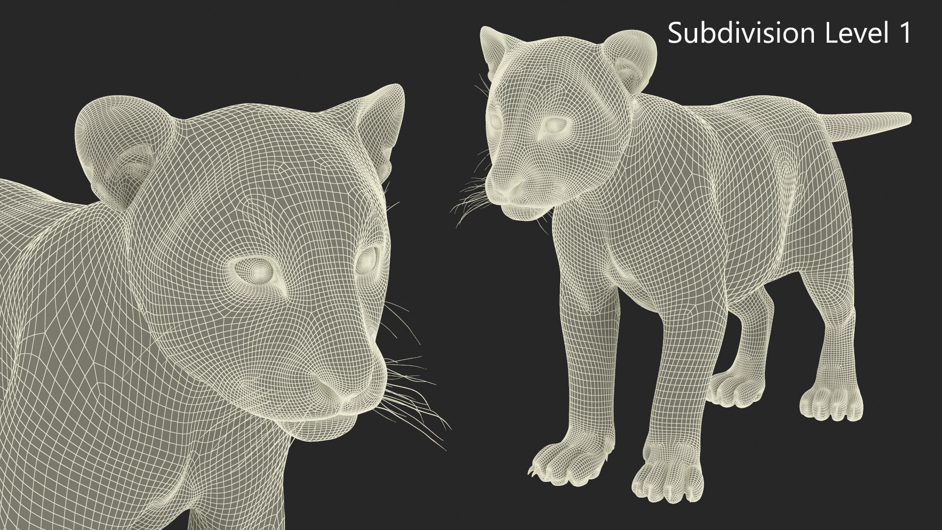 Tiger Cub Rigged for Maya 3D model https://p.turbosquid.com/ts-thumb/9Z/aSrsN0/Wl/tiger_cub_rigged_017/jpg/1742257107/1920x1080/fit_q87/41afe586ed97038be52deb53ceacd5b2c168bc77/tiger_cub_rigged_017.jpg