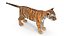 Tiger Cub Rigged for Maya