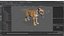 Tiger Cub Rigged for Maya