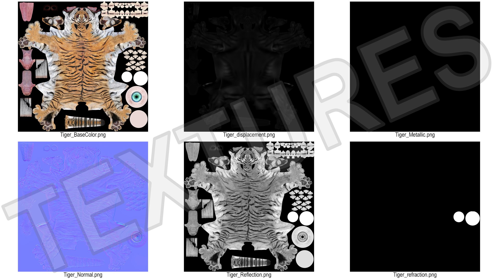 Tiger Cub Rigged for Maya 3D model https://p.turbosquid.com/ts-thumb/9Z/aSrsN0/lT/tiger_cub_rigged_019/jpg/1742257117/1920x1080/fit_q87/0d50fb12065d168d197aa316a744d7af8dac5413/tiger_cub_rigged_019.jpg