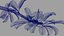 Apple Flower Bud / Branch - Rigged / Animato