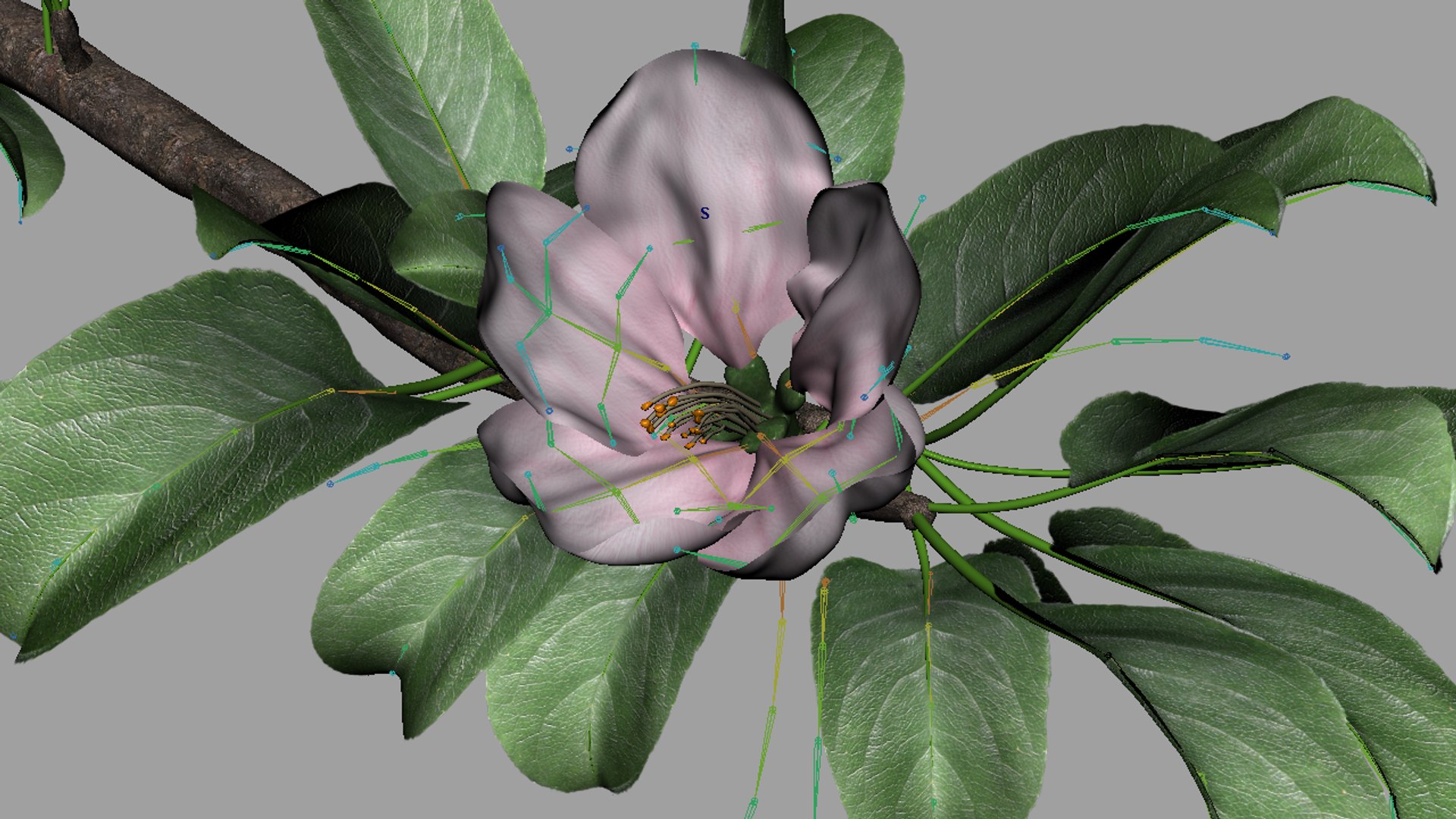 3d apple branch - rigged model https://p.turbosquid.com/ts-thumb/9Z/esVYK2/6ydxVHHE/render_04/png/1397038142/1920x1080/fit_q87/2203fd976ea4219a55fafce60ec634c5610c8b15/render_04.jpg