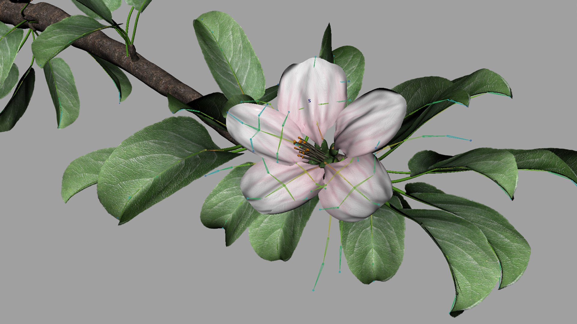 3d apple branch - rigged model https://p.turbosquid.com/ts-thumb/9Z/esVYK2/bvEEj28J/render_02/png/1397038142/1920x1080/fit_q87/b9b0a8a77f23a9a03b1d007fc6fde80de540c8d9/render_02.jpg