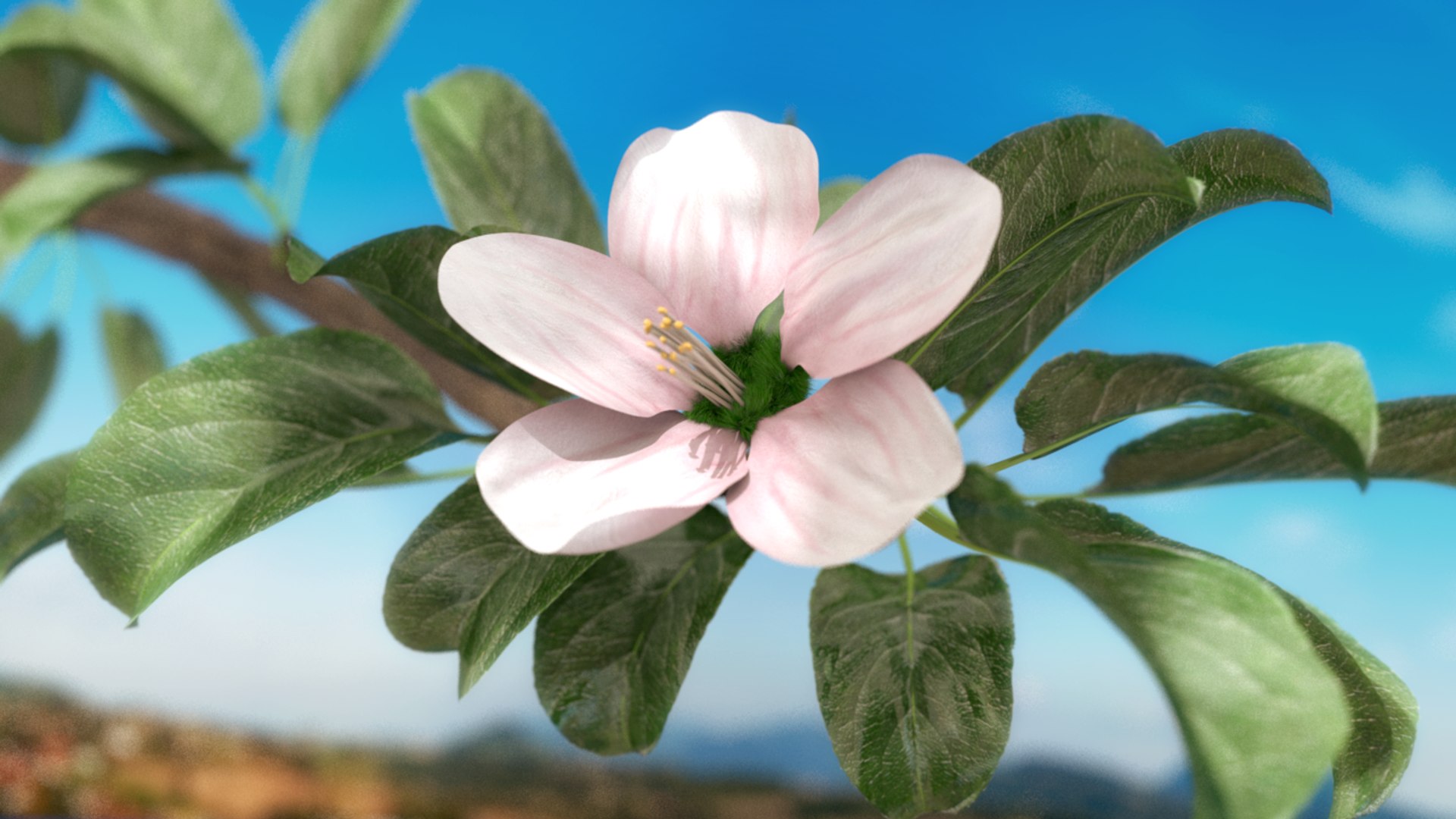 3d apple branch - rigged model https://p.turbosquid.com/ts-thumb/9Z/esVYK2/ikK6zhAs/render_00/png/1397038168/1920x1080/fit_q87/c36e81f0f9281f2270441a2e9f8632857fd70e44/render_00.jpg