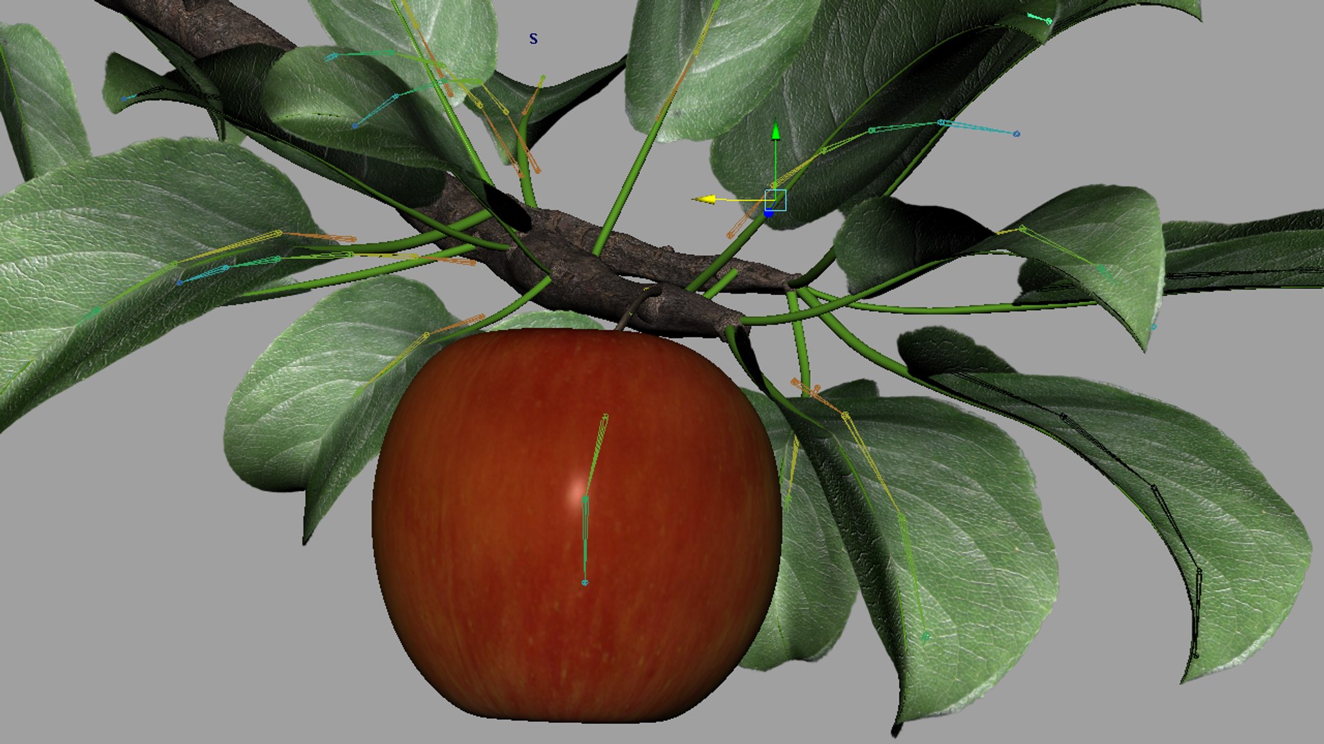 3d apple branch - rigged model https://p.turbosquid.com/ts-thumb/9Z/esVYK2/iuj2ijAp/render_08/png/1397038142/1920x1080/fit_q87/66a0122edf69cf0241bad1242c99f63f325c768c/render_08.jpg