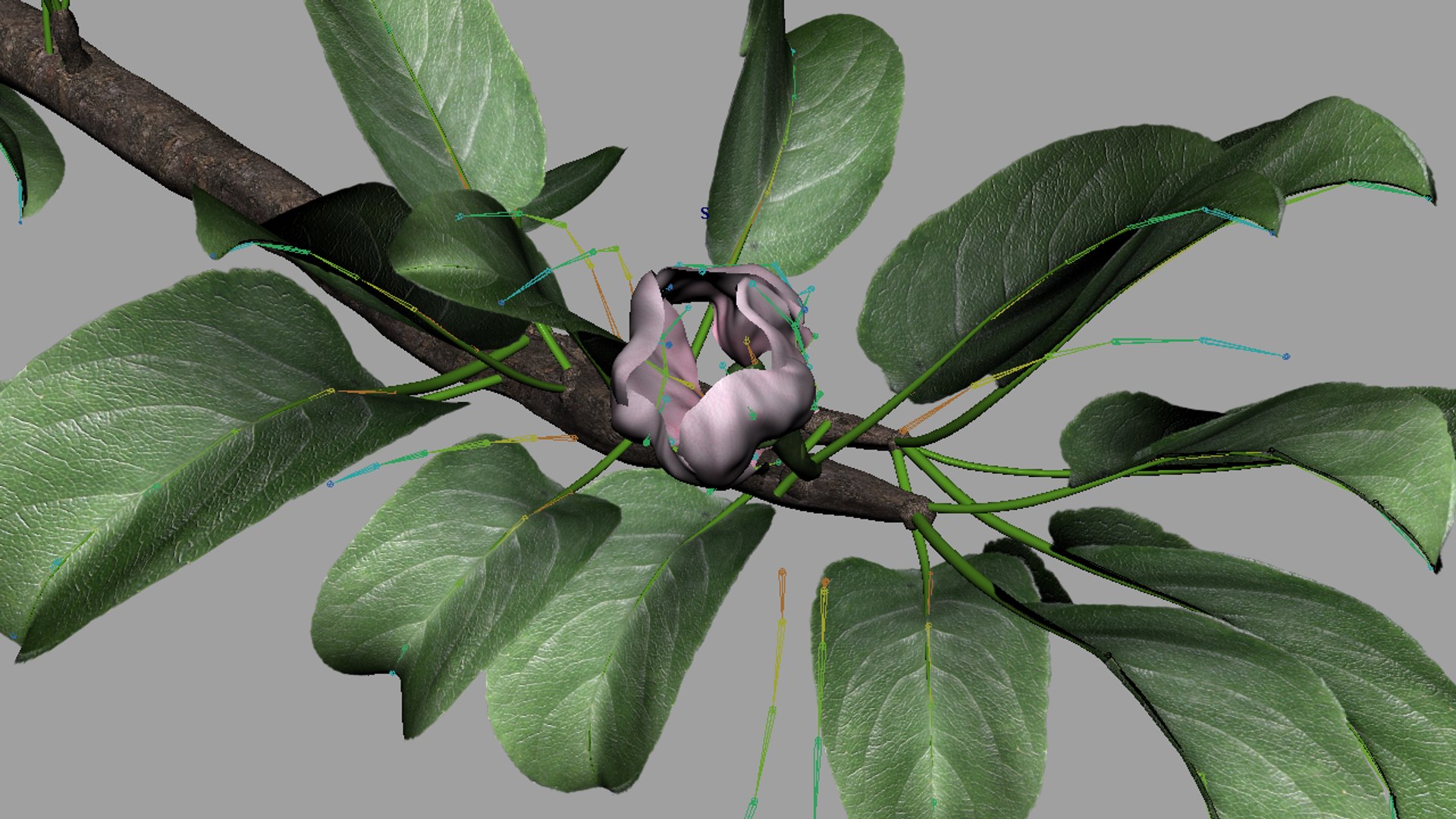 3d apple branch - rigged model https://p.turbosquid.com/ts-thumb/9Z/esVYK2/x5FTIljd/render_03/png/1397038142/1920x1080/fit_q87/3e99e39687f305b2417aa31dcda450fbd843ea49/render_03.jpg