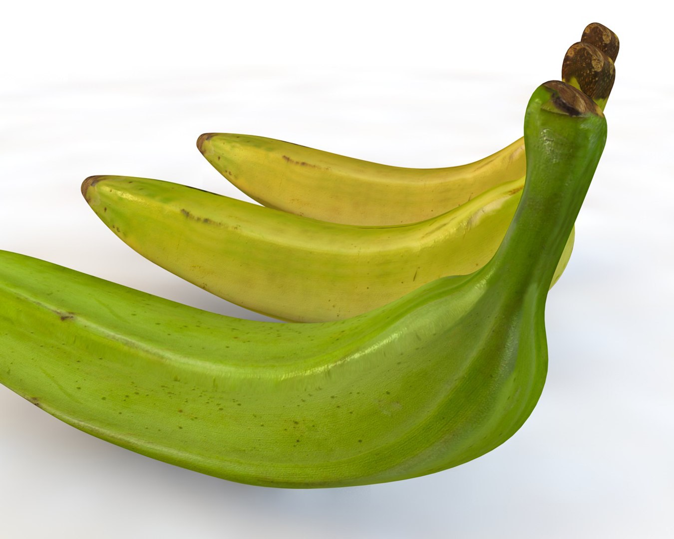 plantain model https://p.turbosquid.com/ts-thumb/9Z/j39pJM/4e5HXYIL/6/jpg/1587311816/1920x1080/fit_q87/fdf1efc525159d53cb14c424ba7fc4715ebdf49b/6.jpg