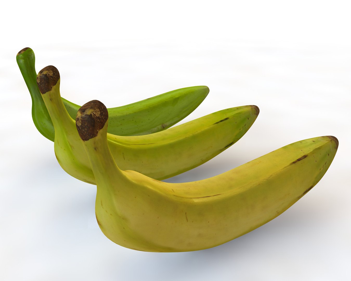 plantain model https://p.turbosquid.com/ts-thumb/9Z/j39pJM/fLFUs7NR/4/jpg/1587311816/1920x1080/fit_q87/08fb6bc7c7c143784cee1d8609c00fe732ff0f78/4.jpg