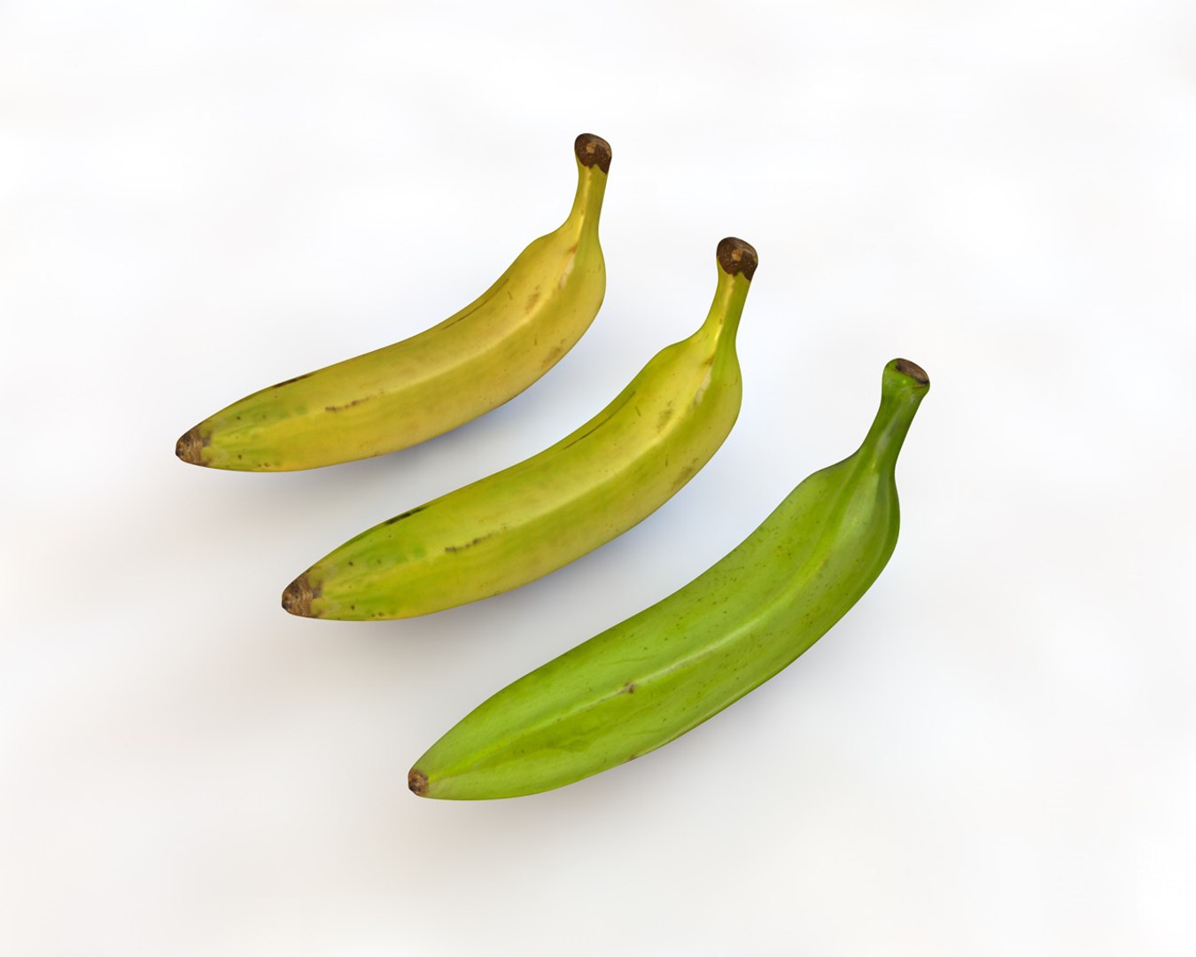 plantain model https://p.turbosquid.com/ts-thumb/9Z/j39pJM/g523HPM4/3/jpg/1587311816/1920x1080/fit_q87/9f933047d29a4499fe9af3db49942008a8027628/3.jpg