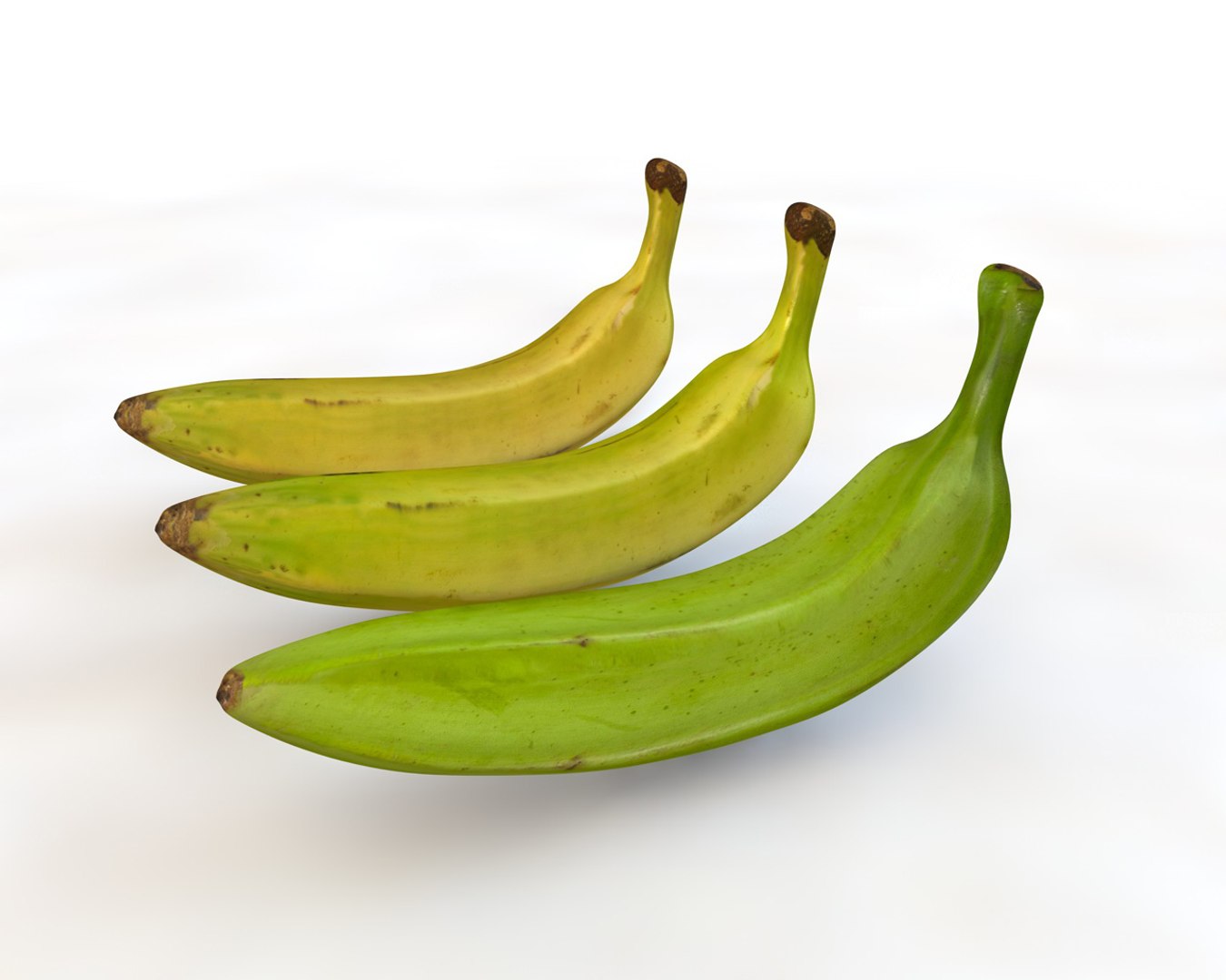 plantain model https://p.turbosquid.com/ts-thumb/9Z/j39pJM/lLdJaQP0/2/jpg/1587311816/1920x1080/fit_q87/a39e18ae05a984038d05da174306c4a15cb68ea2/2.jpg