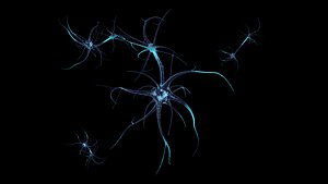 3D Neuron model