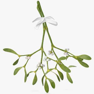 3D Mistletoe with White Bow 2 model