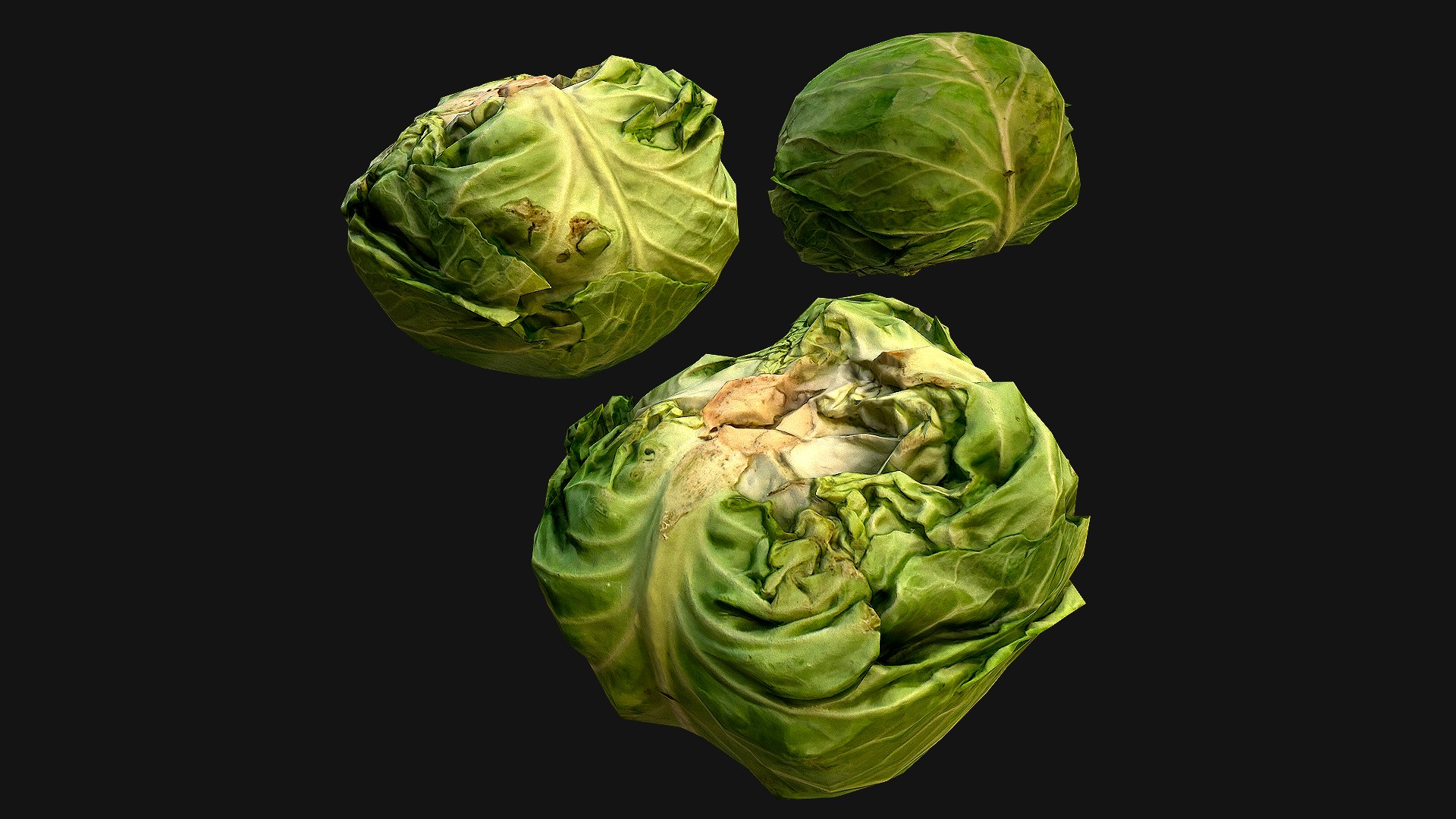 Fruits and Vegetables Collection 3D model https://p.turbosquid.com/ts-thumb/9Z/zmhpab/XH/cabbage_1/png/1658847043/1920x1080/fit_q87/edddb45b4d8fecb15f0f8902e8a51c8fc3e30696/cabbage_1.jpg