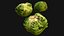 Fruits and Vegetables Collection
