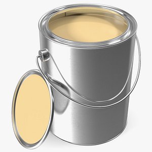 Paint Bucket Open 3D model