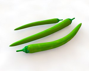 3D chili model