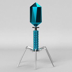 bacteriophage modeled 3D model