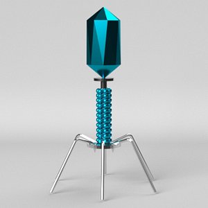 Bacteriophage