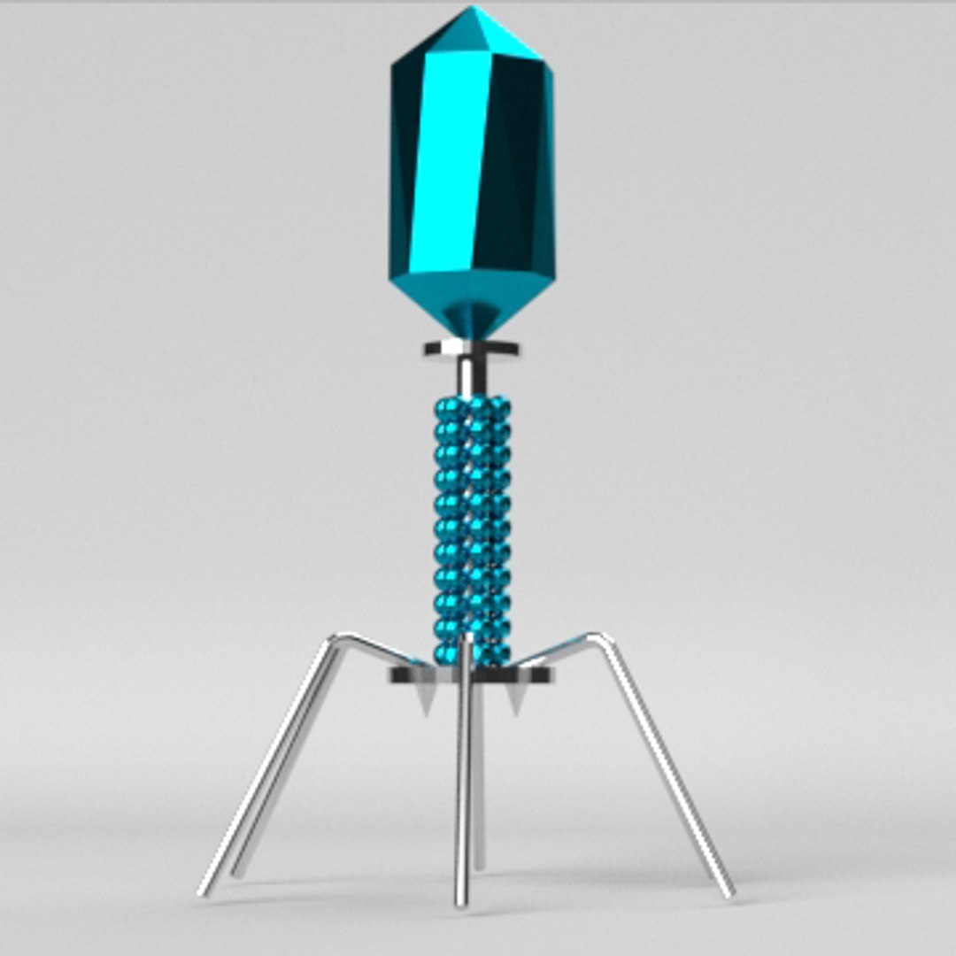 bacteriophage modeled 3D model https://p.turbosquid.com/ts-thumb/9a/APGzhK/dTALkK2L/gambar3/jpg/1587852203/1920x1080/fit_q87/03abb3d8c7a781d26dda6e161c5dd625602bc612/gambar3.jpg