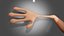 Cartoon Hand Skinny - Blender - Low-Poly