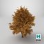 3D Lowpoly Realistic Autumn American Beech Tree model
