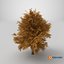 3D Lowpoly Realistic Autumn American Beech Tree model