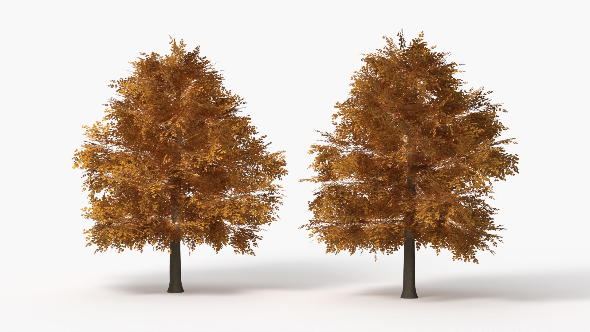 3D Lowpoly Realistic Autumn American Beech Tree model https://p.turbosquid.com/ts-thumb/9a/HZEk8o/iB/lowpoly_realistic_autumn_american_beech_tree_002/jpg/1765924253/1920x1080/fit_q87/cea03445eaf241e3ca81eec5a2dfa412be23b5fb/lowpoly_realistic_autumn_american_beech_tree_002.jpg