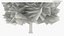 3D Lowpoly Realistic Autumn American Beech Tree model