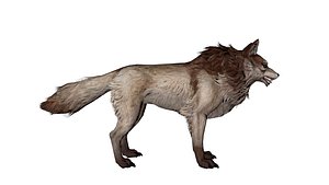 Realistic 3D Wolf Model  Game-Ready  Rigged 3D