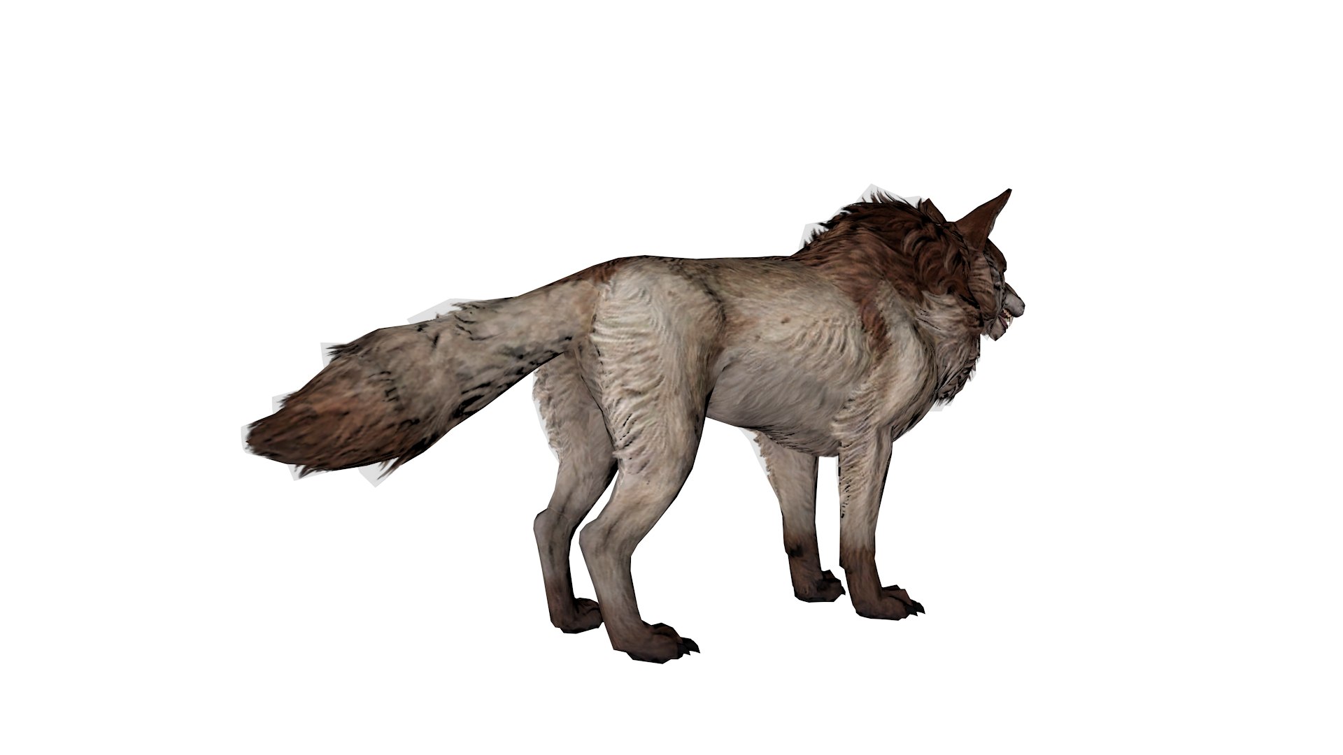 Realistic 3D Wolf Model Game-Ready Rigged 3D - TurboSquid 2365969