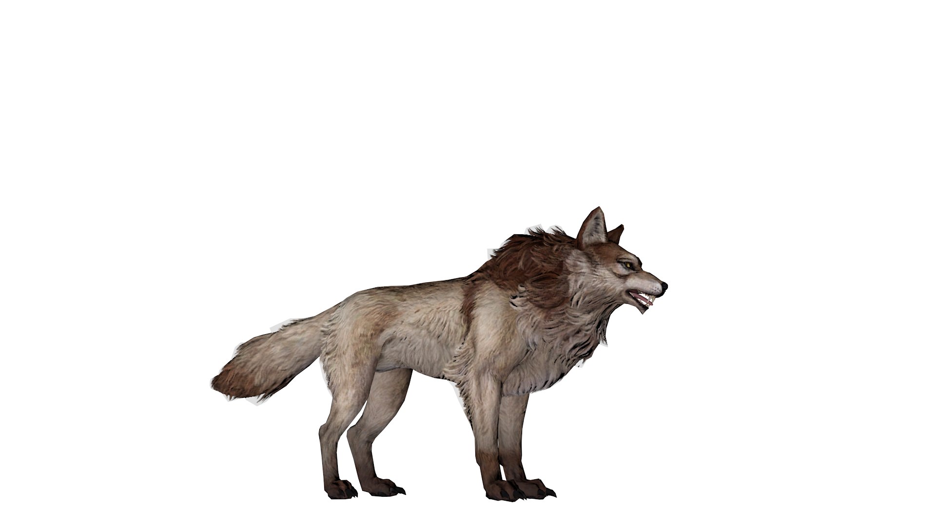Realistic 3D Wolf Model Game-Ready Rigged 3D - TurboSquid 2365969