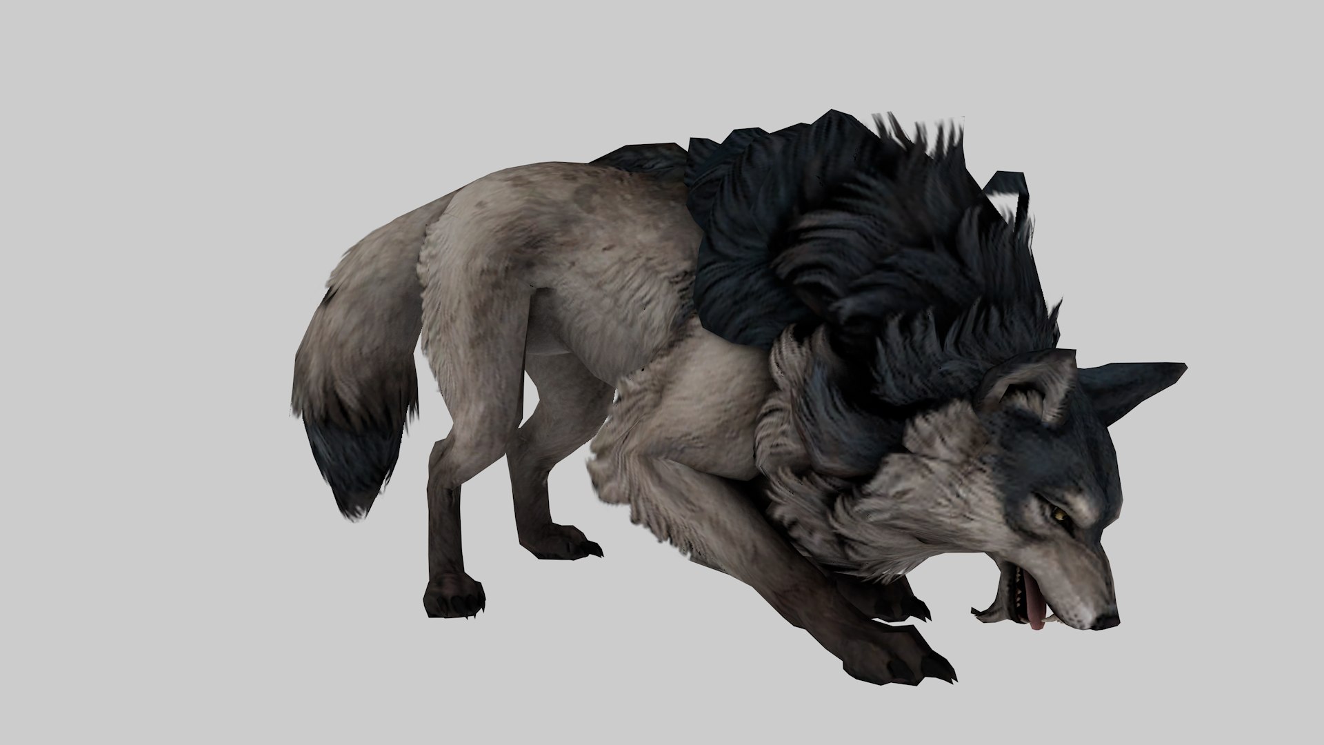 Realistic 3D Wolf Model Game-Ready Rigged 3D - TurboSquid 2365969