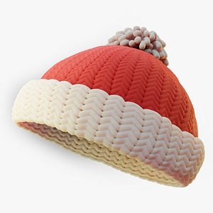Winter Hat 3D model