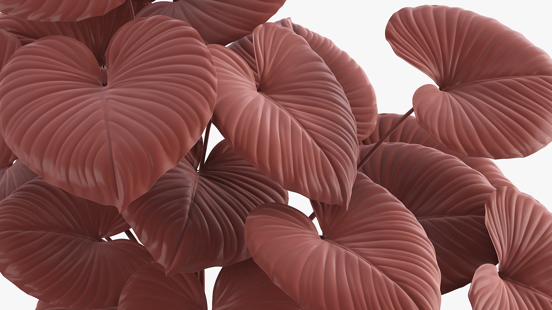 3D tropical leaves model https://p.turbosquid.com/ts-thumb/9a/QWabZf/W7QgfbpX/4/jpg/1584336987/1920x1080/fit_q87/451ff9d6f0f9ea71ef20ef5471057197b42742a9/4.jpg