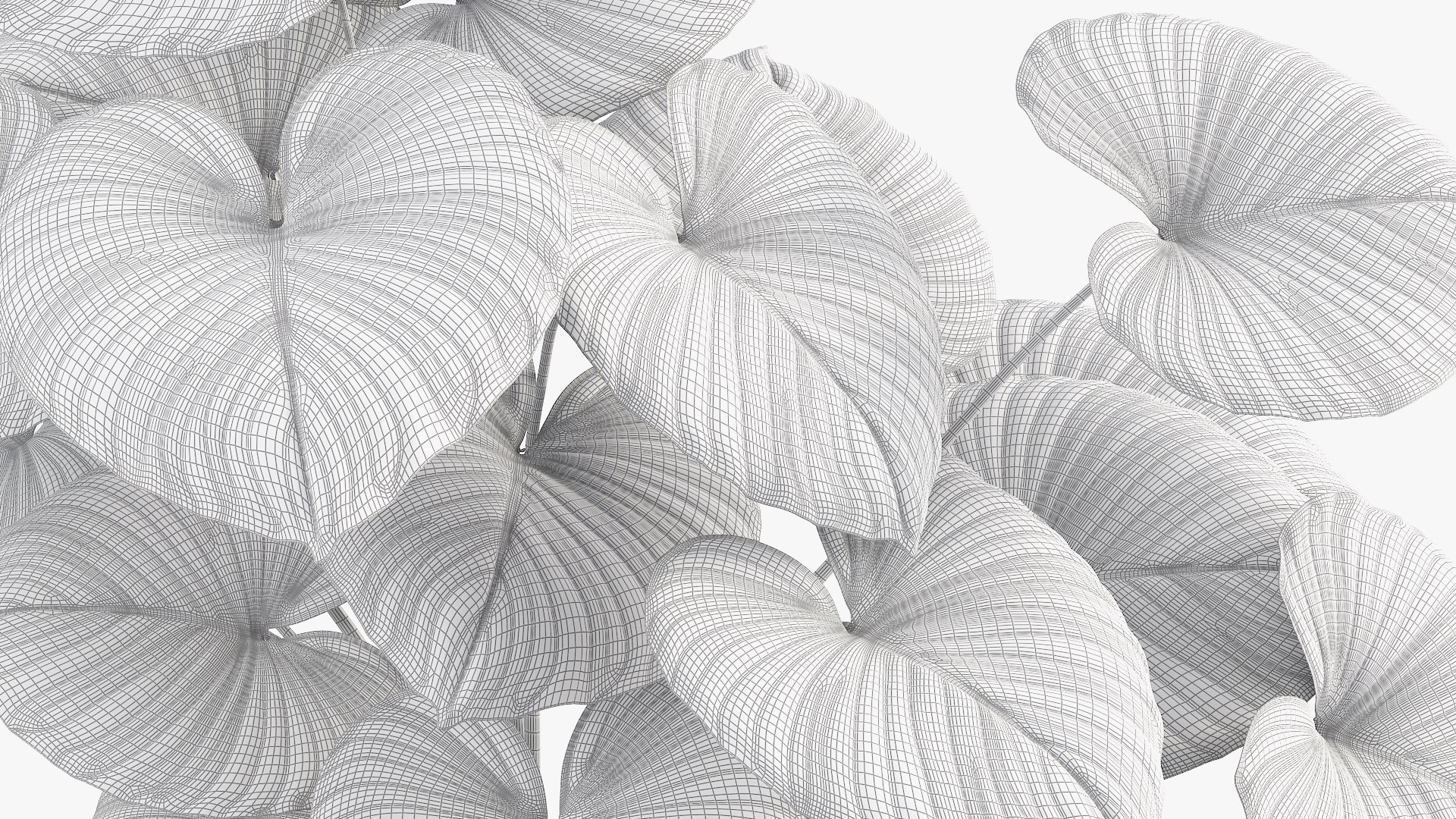 3D tropical leaves model https://p.turbosquid.com/ts-thumb/9a/QWabZf/rnRCRbFv/5/jpg/1584336987/1920x1080/fit_q87/d7ce9815eb68e3f76e24a1a527934aa884c9bc9e/5.jpg