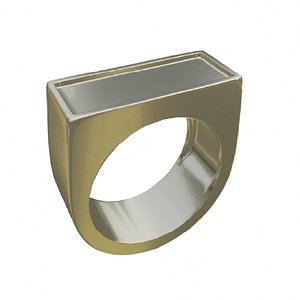 3D model LONG SQUARE RING