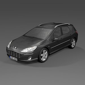 2009 Peugeot 407SW