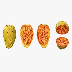 Prickly Pear Yellow 3D model