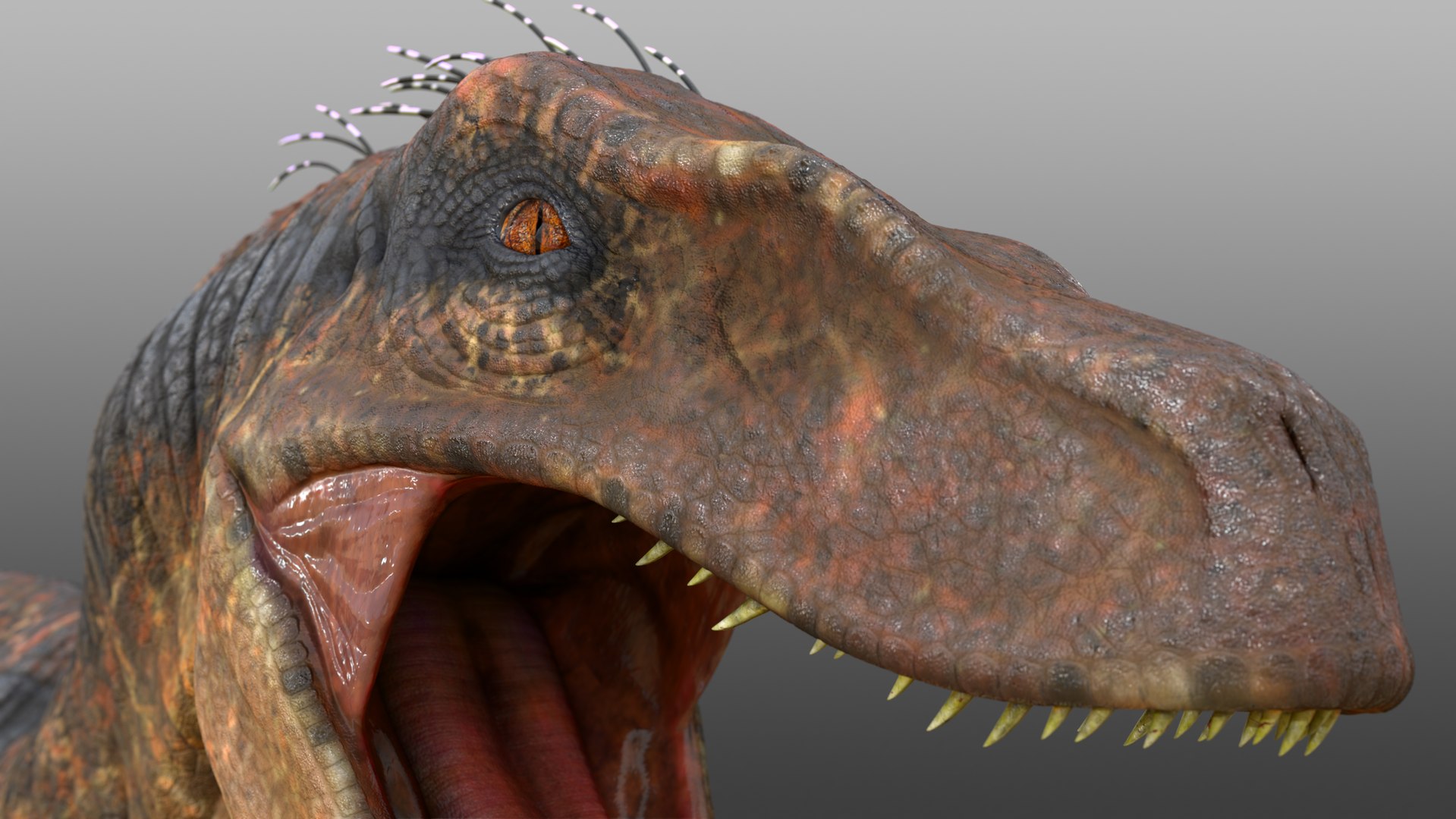 Velociraptor 3D model https://p.turbosquid.com/ts-thumb/9b/70UetL/7s/topost_00004/jpg/1651889127/1920x1080/fit_q87/90cdb0b752b40f699ab617b119077abcc17c5a23/topost_00004.jpg