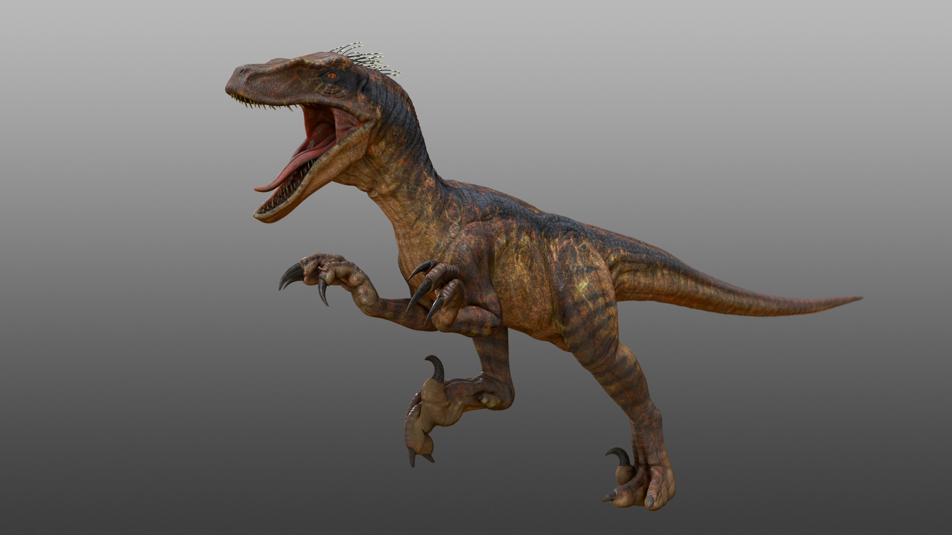 Velociraptor 3D model https://p.turbosquid.com/ts-thumb/9b/70UetL/JA/topost_00012/jpg/1651889115/1920x1080/fit_q87/b1accb899f962ed70e29d151c5b28f7bc611044d/topost_00012.jpg