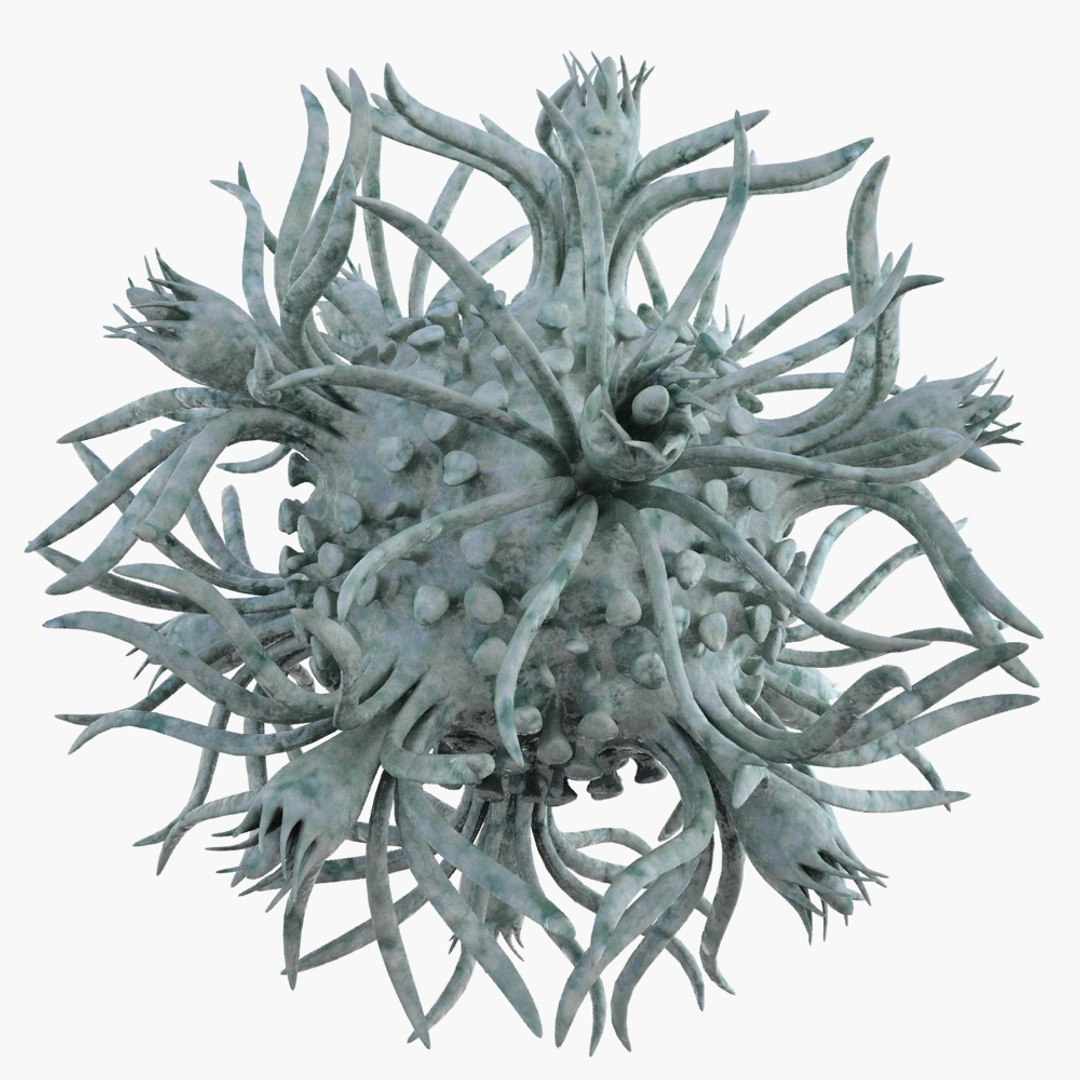 Micro Object Mht 3d Obj