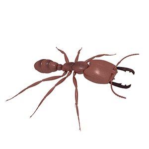 Army ant soldier