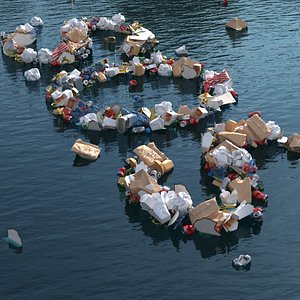Floating Trash SOS Installation
