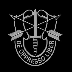 US Special Forces Insignia