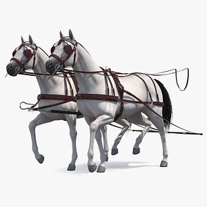 Pair of White Breast Collar Harness Walking Pose 3D model